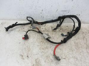 Wiring Harness OPEL ZAFIRA / ZAFIRA FAMILY B (A05)