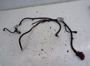 Wiring Harness FORD TRANSIT CONNECT (P65_, P70_, P80_)