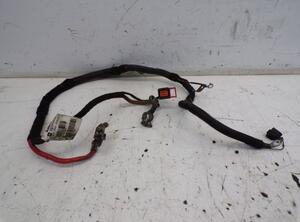 Wiring Harness OPEL ZAFIRA / ZAFIRA FAMILY B (A05)