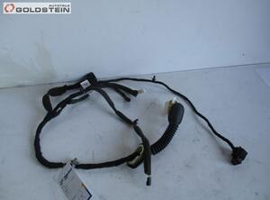 Door Wiring Harness CHEVROLET Captiva (C100, C140)