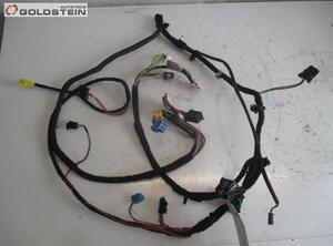 Door Wiring Harness MERCEDES-BENZ CLK (C209)