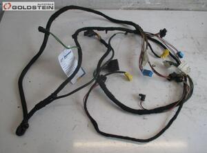 Door Wiring Harness MERCEDES-BENZ CLK (C209)