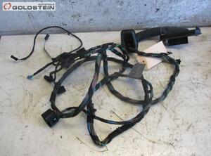 Kabel Tür Türkabelbaum hinten links BMW X5 (E70) 3.0 D 173 KW