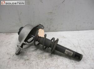 Suspension Strut AUDI A5 (8T3)