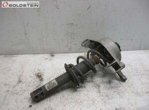 Suspension Strut AUDI A5 (8T3)