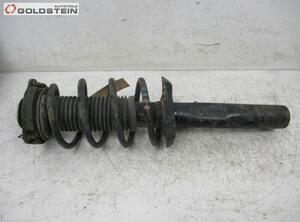 Suspension Strut SKODA Octavia II Combi (1Z5)