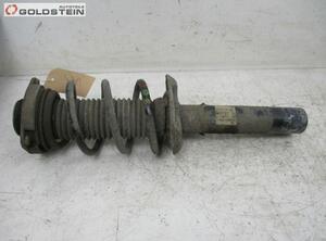 Suspension Strut AUDI TT Roadster (8J9)