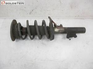 Suspension Strut FORD Galaxy (WA6), FORD S-Max (WA6)