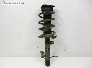 Suspension Strut FORD Kuga I (--)