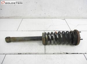 Suspension Strut JAGUAR S-Type (X200)