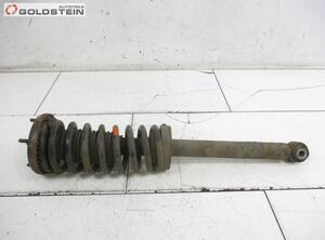 Suspension Strut JAGUAR S-Type (X200)