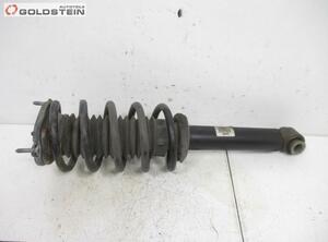 Suspension Strut PEUGEOT 407 (6D)