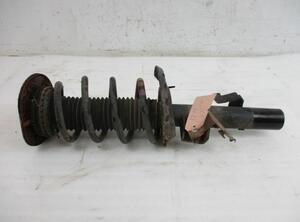 Suspension Strut FORD Galaxy (WA6), FORD S-Max (WA6)