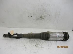 Suspension Strut MERCEDES-BENZ S-Klasse (W220)