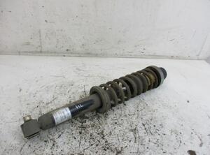 Suspension Strut BMW 5er (E34)