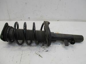 Suspension Strut FORD Focus III Turnier (--)