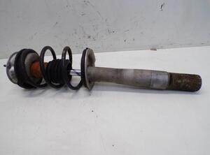 Suspension Strut BMW 5er Touring (E61)