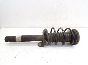 Suspension Strut BMW 7er (E65, E66, E67)