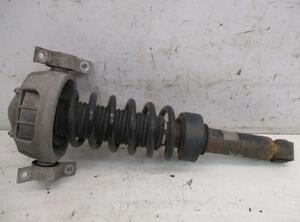 Suspension Strut VW Touareg (7L6, 7L7, 7LA)