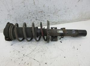 Suspension Strut SKODA Fabia II (542)