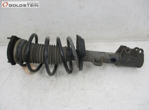 Suspension Strut FIAT DOBLO Cargo (263_), FIAT DOBLO Platform/Chassis (263_)