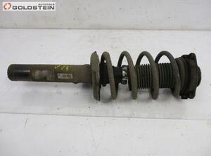 Suspension Strut VW EOS (1F7, 1F8)