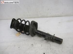 Suspension Strut FORD KUGA I, FORD KUGA II (DM2)