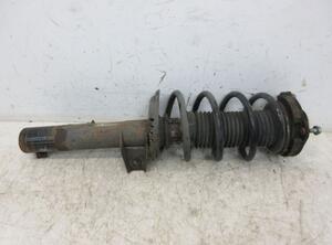 Suspension Strut VW EOS (1F7, 1F8)