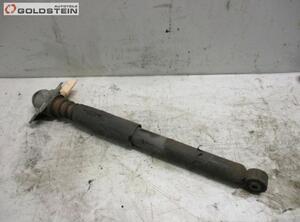 Shock Absorber SKODA Superb II (3T4)