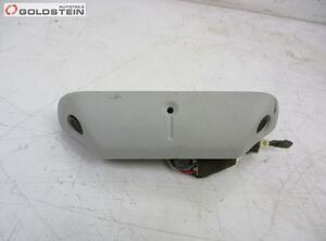 Front Interior Roof Trim Panel NISSAN QASHQAI / QASHQAI +2 I (J10, NJ10, JJ10E)