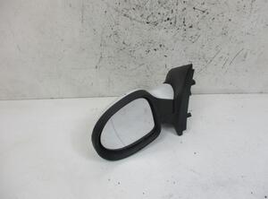 Wing (Door) Mirror RENAULT Twingo II (CN0)