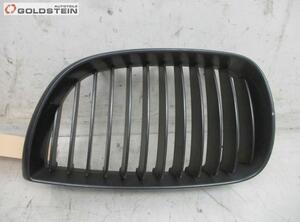 Radiateurgrille BMW 1er (E87)