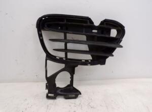 Radiator Grille PORSCHE CAYENNE (92A)