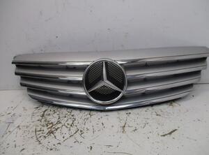 Radiator Grille MERCEDES-BENZ B-CLASS (W245)