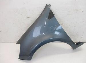 Spatbord RENAULT Clio III (BR0/1, CR0/1)