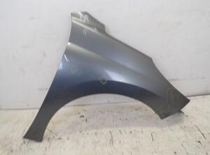 Spatbord PEUGEOT 207 CC (WD)