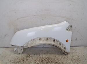 Spatbord FORD Transit Connect (P65, P70, P80)