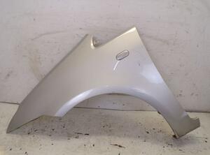 Spatbord FORD C-Max (DM2), FORD Focus C-Max (--)