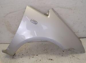 Spatbord FORD C-Max (DM2), FORD Focus C-Max (--)