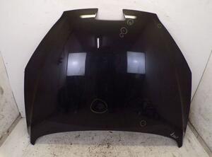 Motorhaube EXL Obsidien schwarz PEUGEOT 407 COUPE (6C_) 2.7 HDI 150 KW