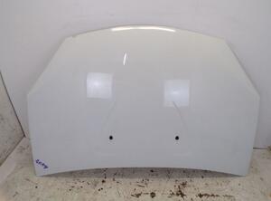 Motorhaube 369 Ice White BC DACIA SANDERO 1.4 55 KW