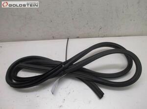 Door Seal NISSAN X-Trail (T31)