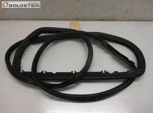 Door Seal AUDI A6 Avant (4F5, C6)