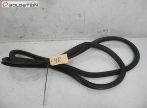 Door Seal SKODA Superb II (3T4)