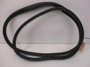 Door Seal RENAULT Captur I (H5, J5), RENAULT Clio IV (BH)