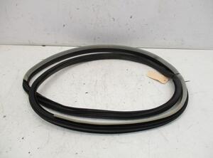 Door Seal RENAULT Laguna III Grandtour (KT0/1)