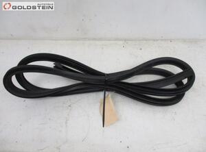 Door Seal NISSAN X-Trail (T31)