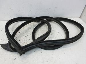 Door Seal PEUGEOT 407 Coupe (6C)