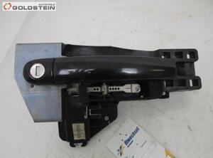 Door Handle AUDI TT Roadster (8J9)