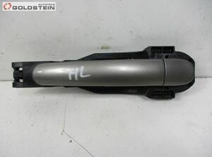 Door Handle SEAT Toledo III (5P2)